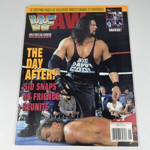 WWF Magazine Diesel & Shawn Michaels June 1995 WWE WWF Kevin Nash With Cards!